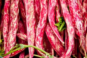 red yellow Chili Pepper pods close up