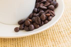 Beverage In The Morning Do Job