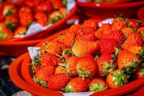 fresh Strawberries in red bowls