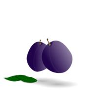 plums plume juice healthy food