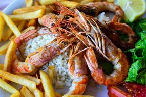 Rice, french fries and Shrimps