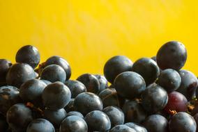 black Olives at Yellow background with copy space