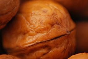 Walnut Brown Food Fruit