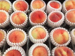 ripe Peach Fruits on stand