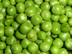 Peas Green Vegetables