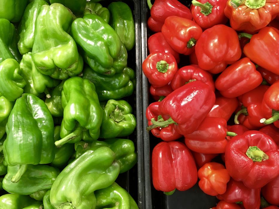 Agriculture Bell Pepper Capsicum