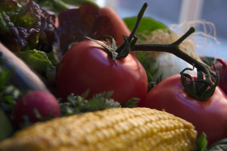 corn and tomatoes