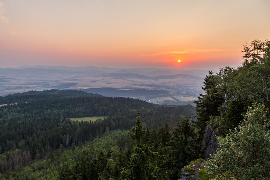Dawn in nature