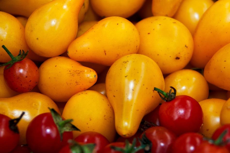 Yellow and Red Tomatoes closeup view