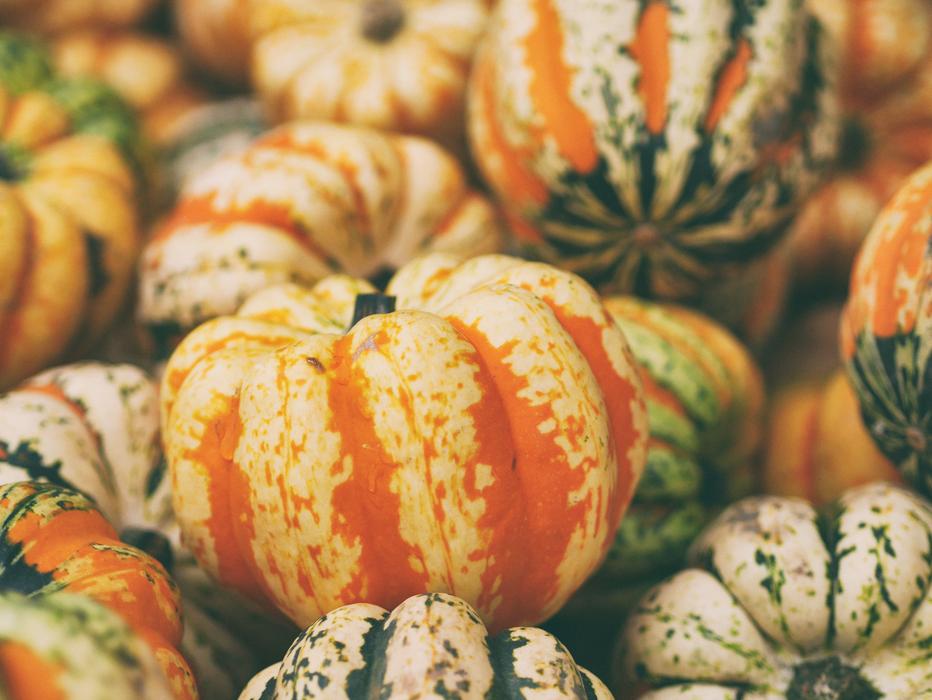 Close-Up view of pumpkins Decoration Delicious