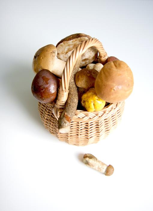 raw mushrooms in a basket