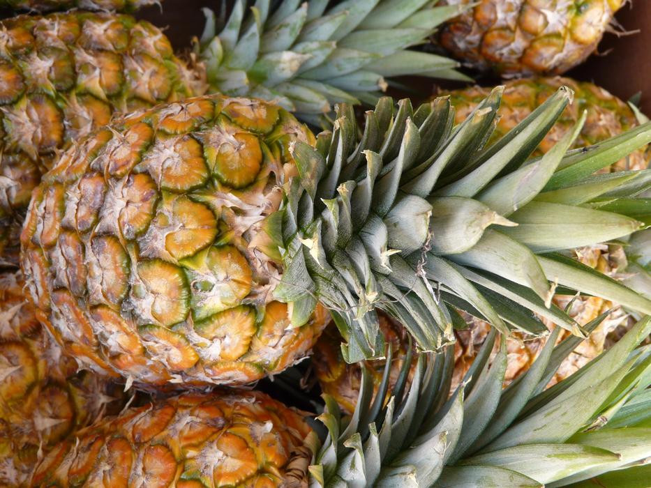 Pineapple Fruit Sweet