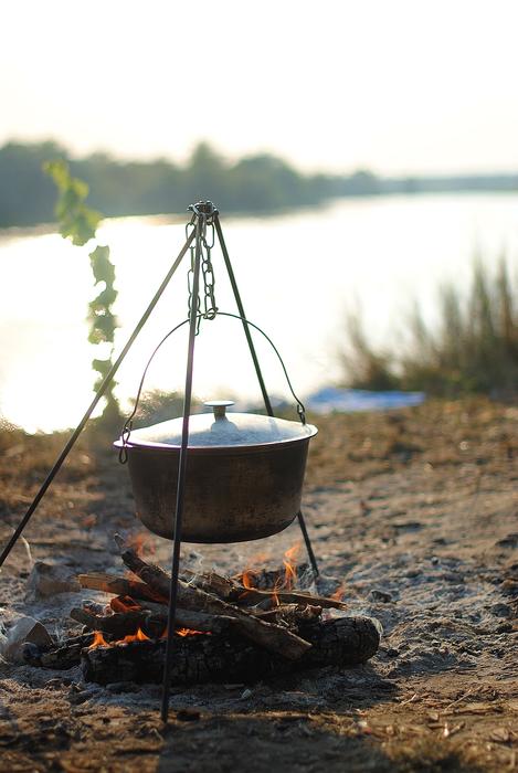 Cooking in the wilderness