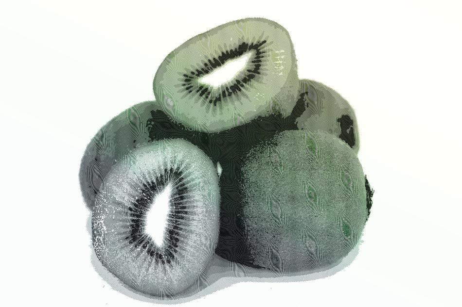 kiwi fruits illustration