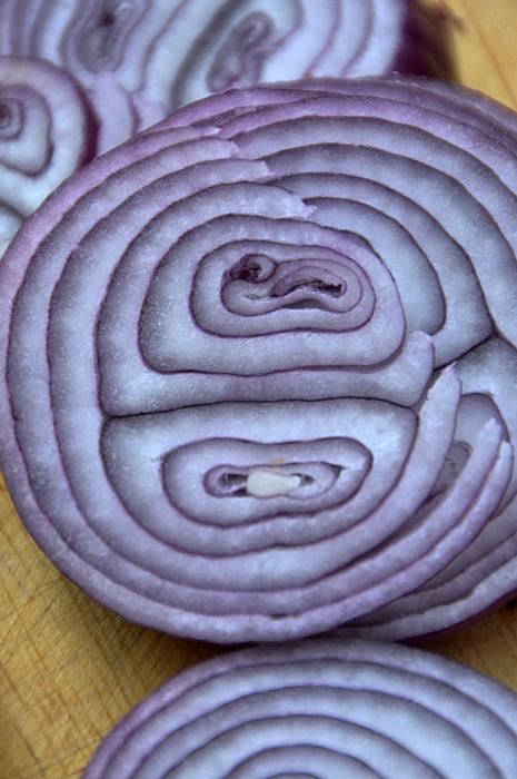 Purple Onion slices