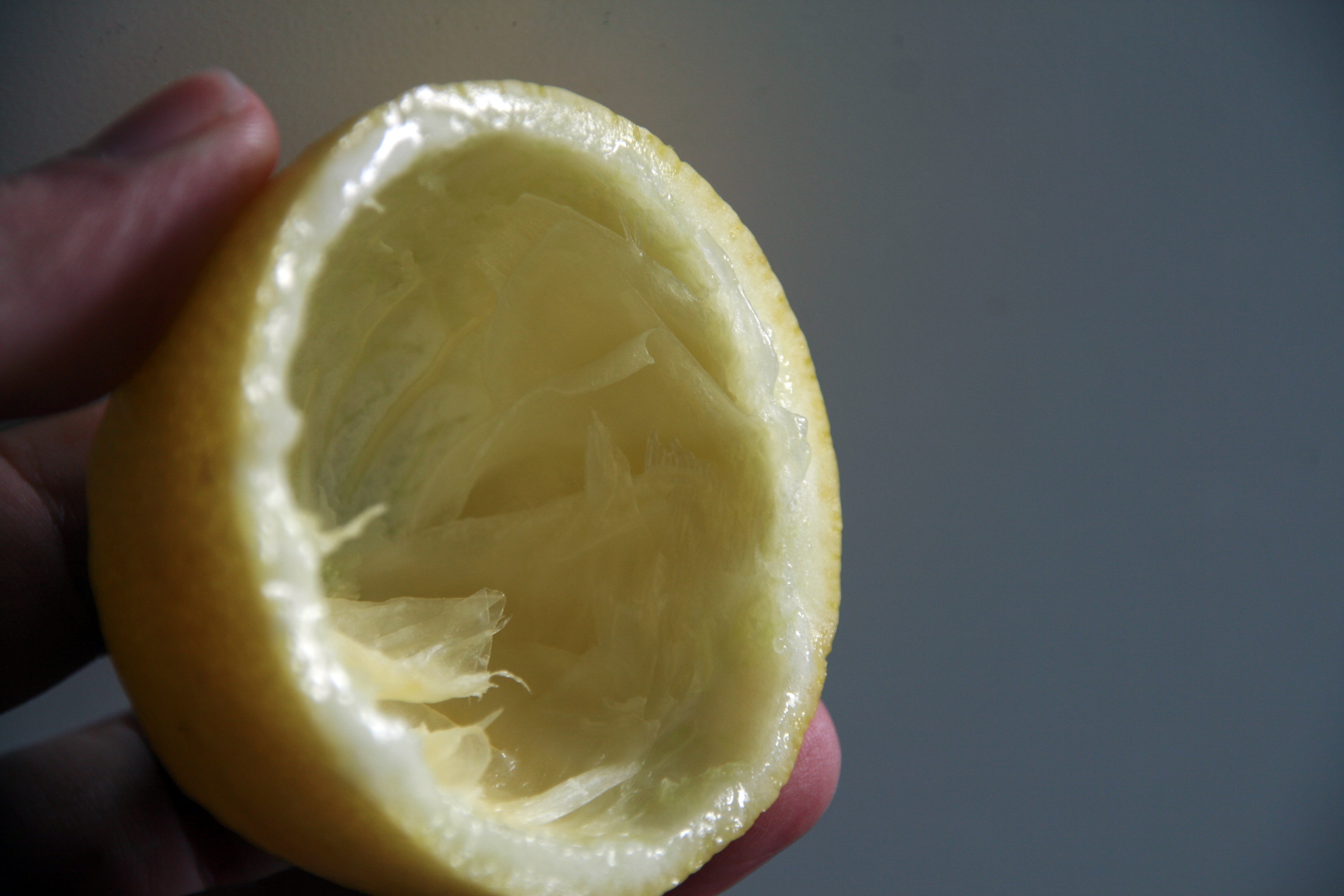 Lemon Skin Inside Yellow free image download