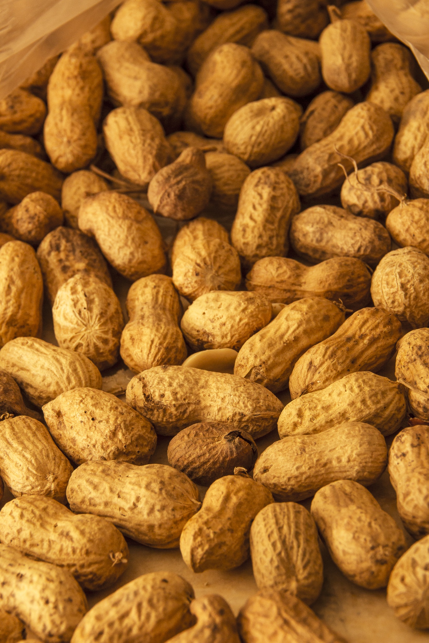 Peanut Peanuts Dried Fruit free image download