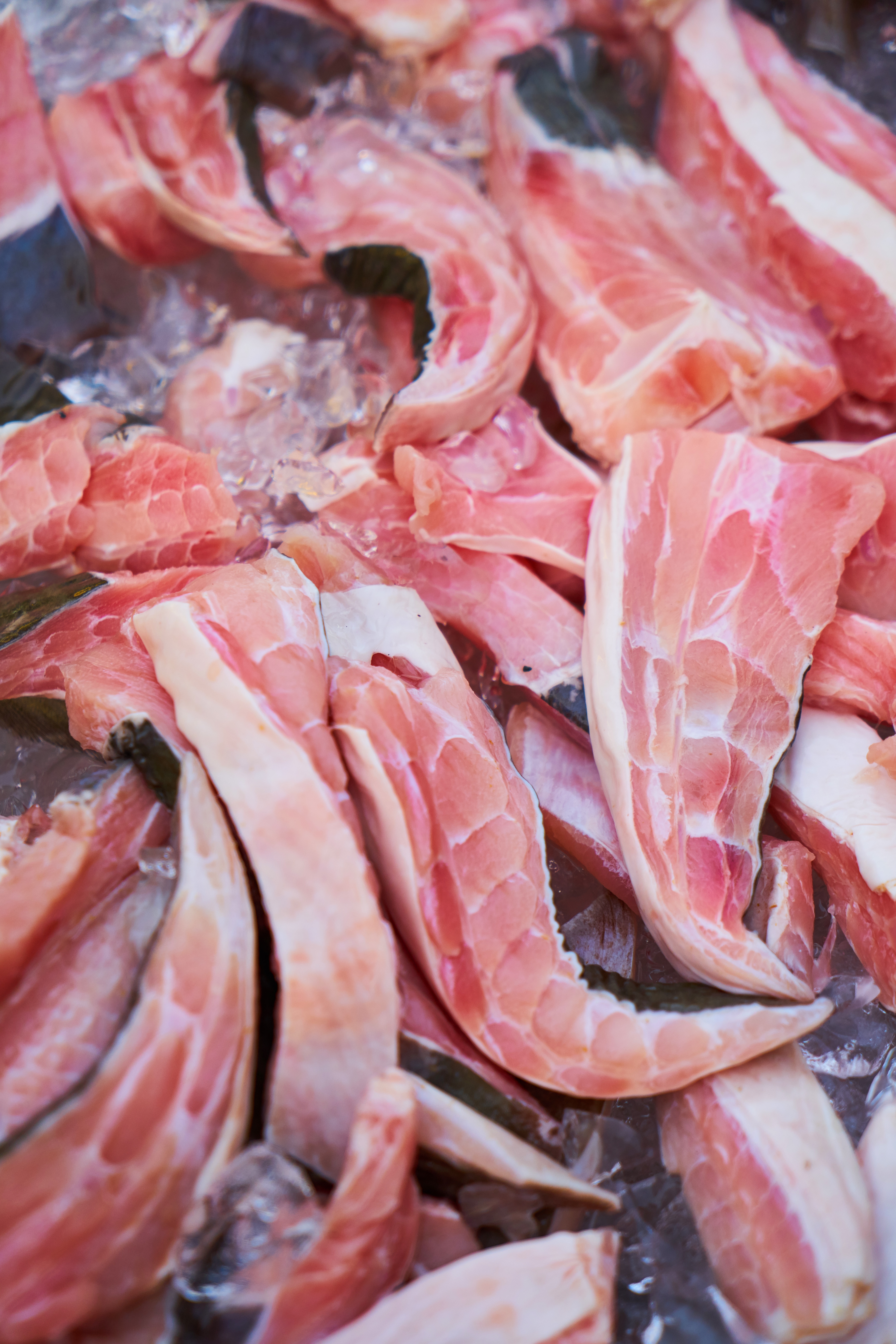 Море Мясо Фото