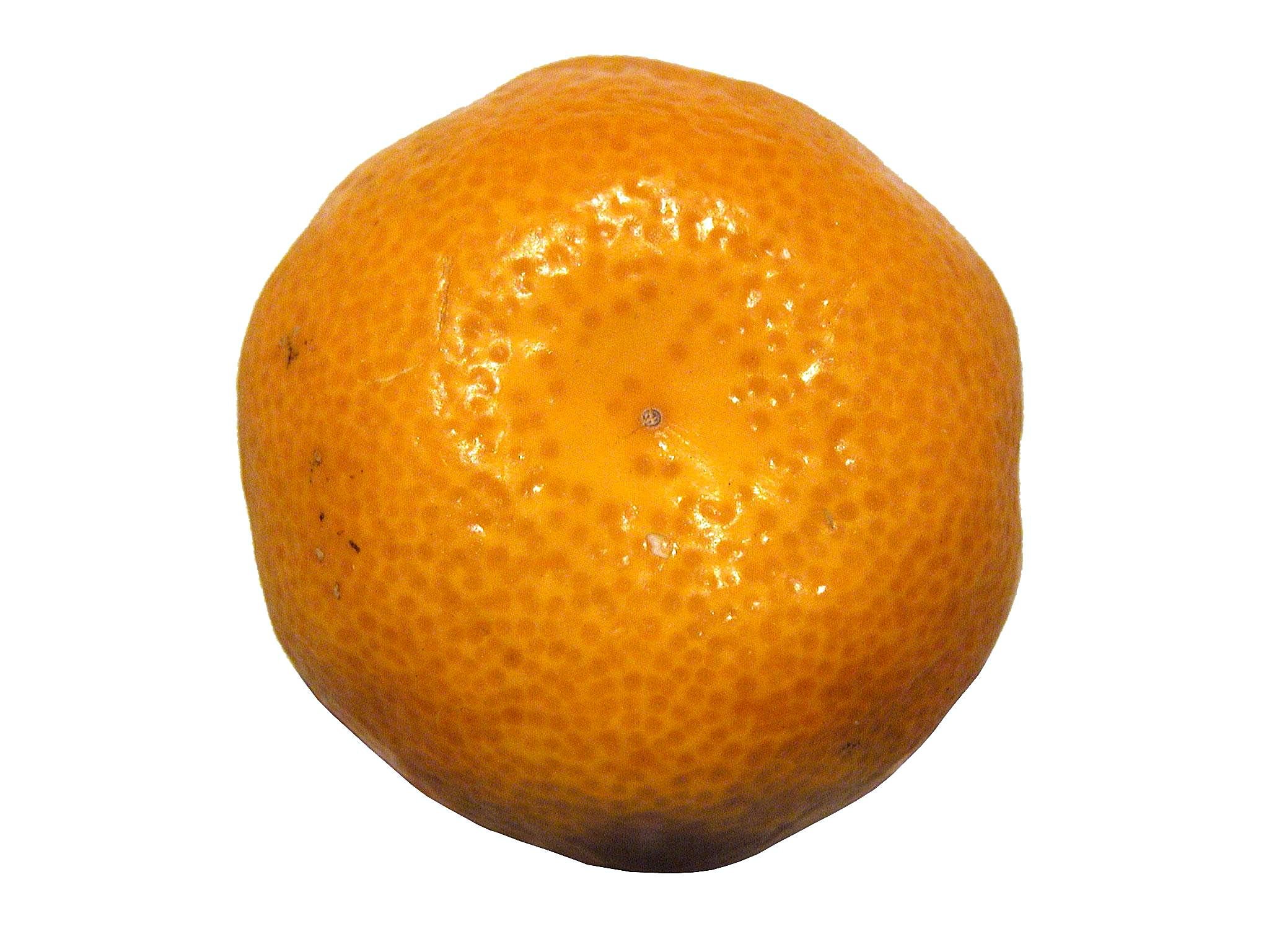 Mandarin Citrus Fruit free image download