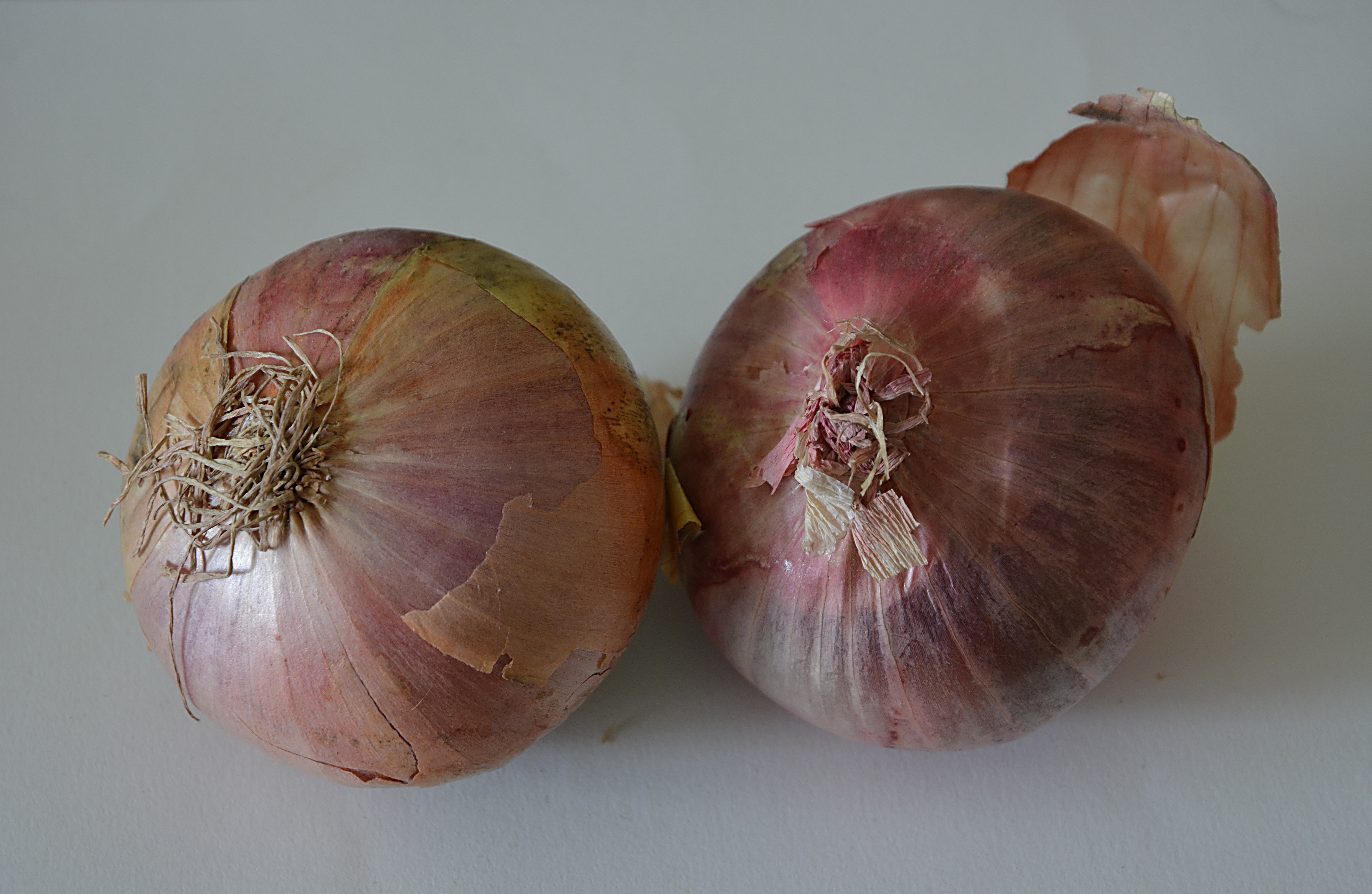 How many onions have we got. Лук-шалот корнеплоды. Лук овощ. Персидский лук.