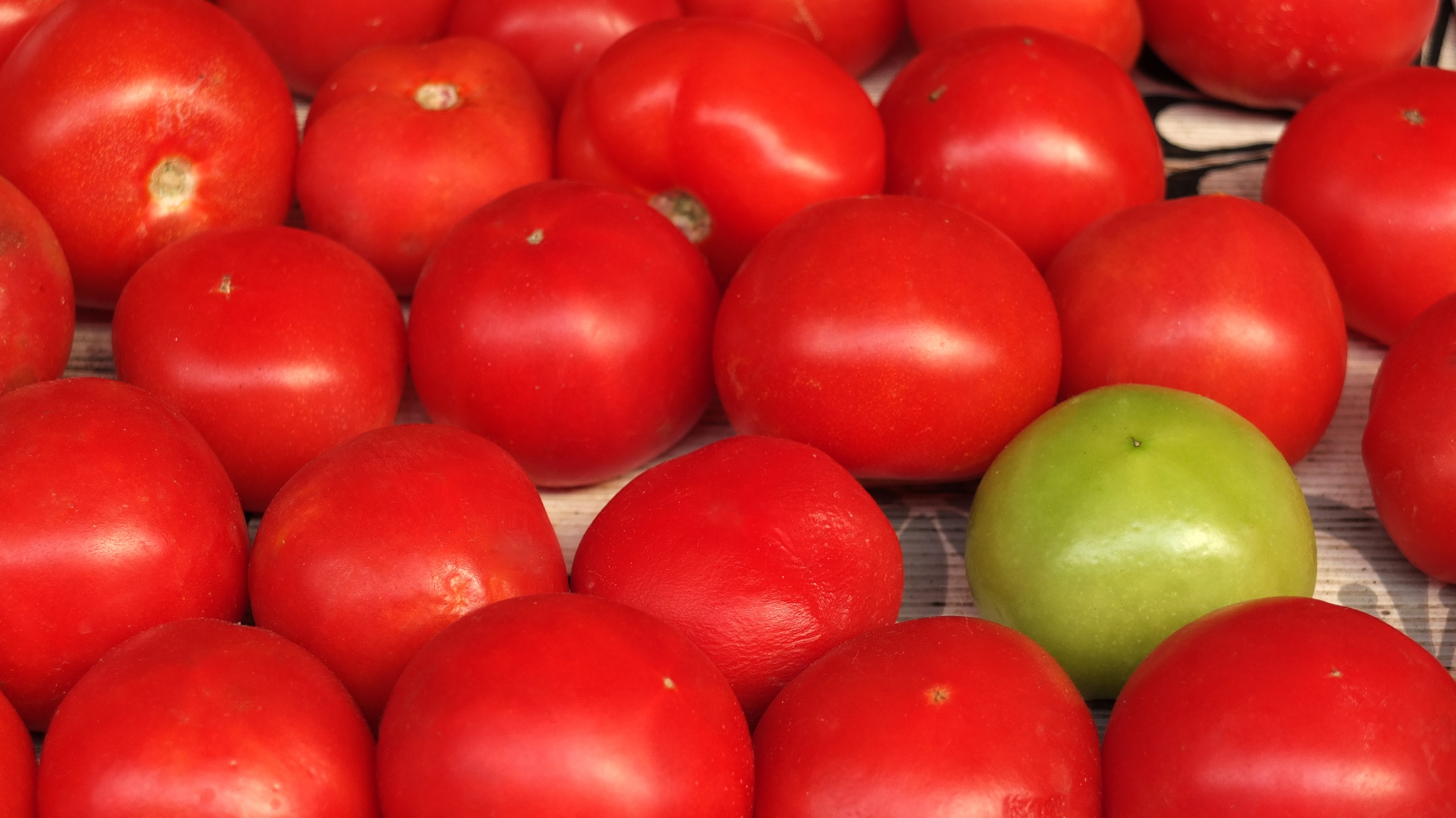 Tomatoes in box free image download