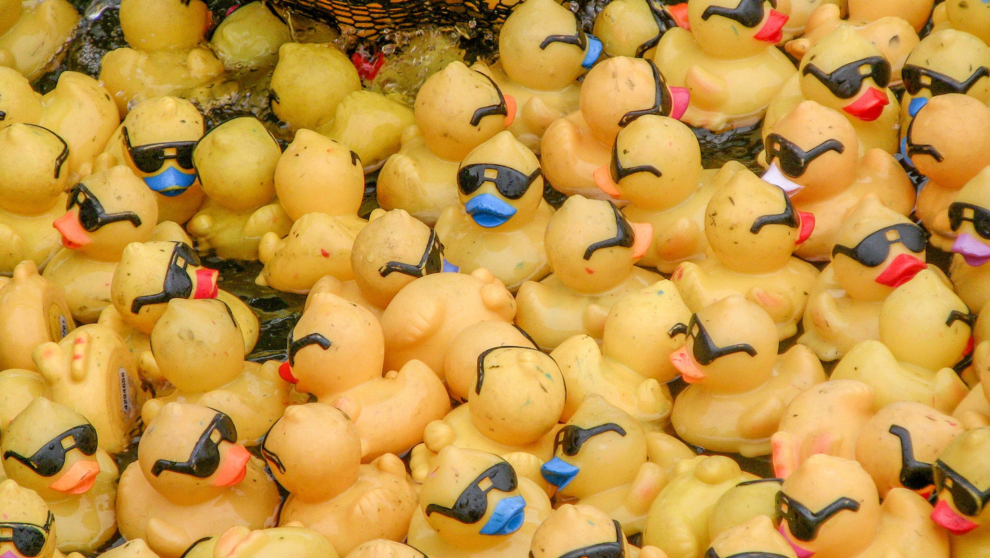 Rubber funny ducks free image download