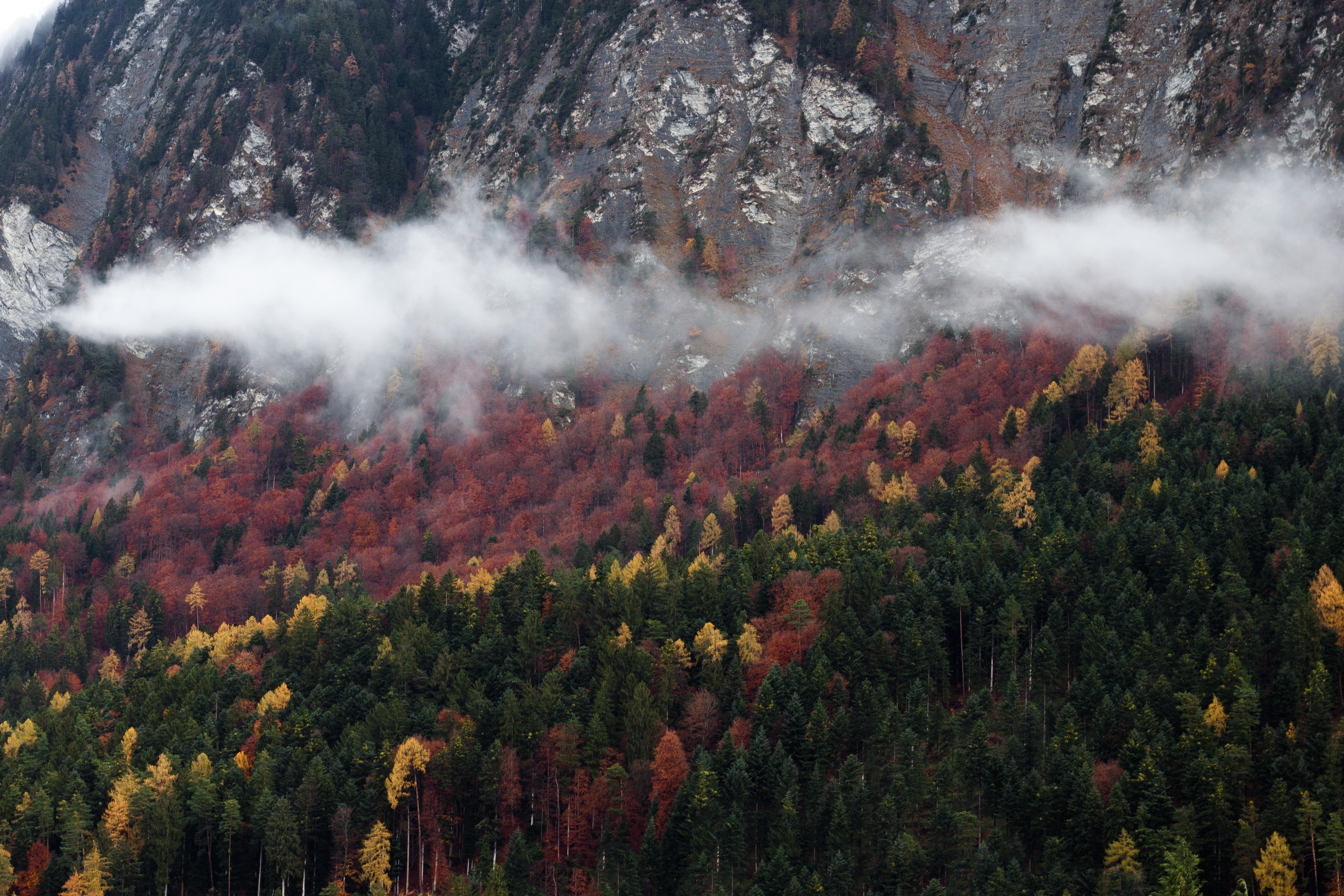 Природная 9. Autumn range. Autumn Ranger.