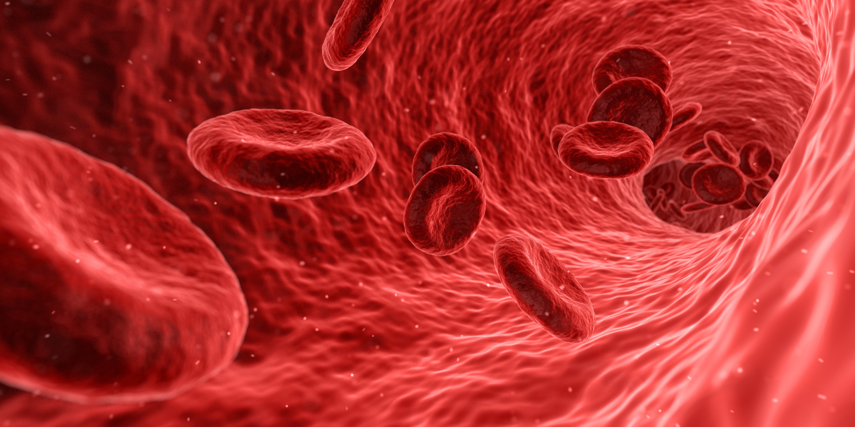 Blood cells red medical drawing free image download