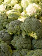 Broccoli and Cauliflower, fresh raw Vegetables in pile