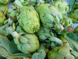 Artichokes Vegetables Green