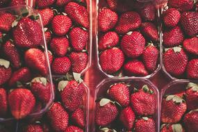 Food Fruits Red