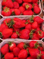 Strawberries Fruits Red