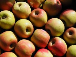 Apple Market Fruit