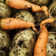 Potatoes with carrots