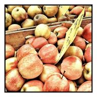 bright apples are delicious