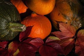 sweet pumpkins in the fall garden