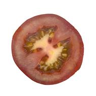 Slice of fresh tomato