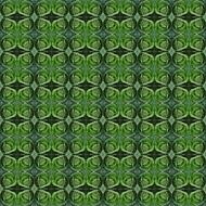 design symmetry cabbage vegetable