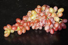 Grape Grapes Autumn