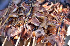 Beautiful chicken skewers