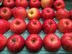 Apple Red Drop Of Water Young And