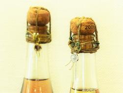 Bottles Wine Bottle