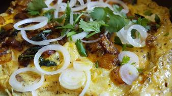 Food Onion Slices Coriander Leafs