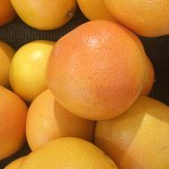 pile of ripe Grapefruits close up