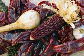 dried corn product