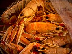 Shrimp Meal Dining