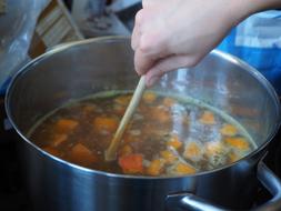 Carrot soup