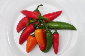 Paprika Chili peppers