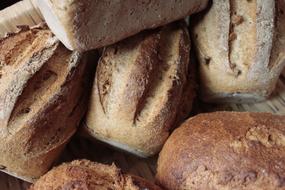 delicious crusty bread