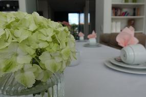 Table Decoration Gedeckter